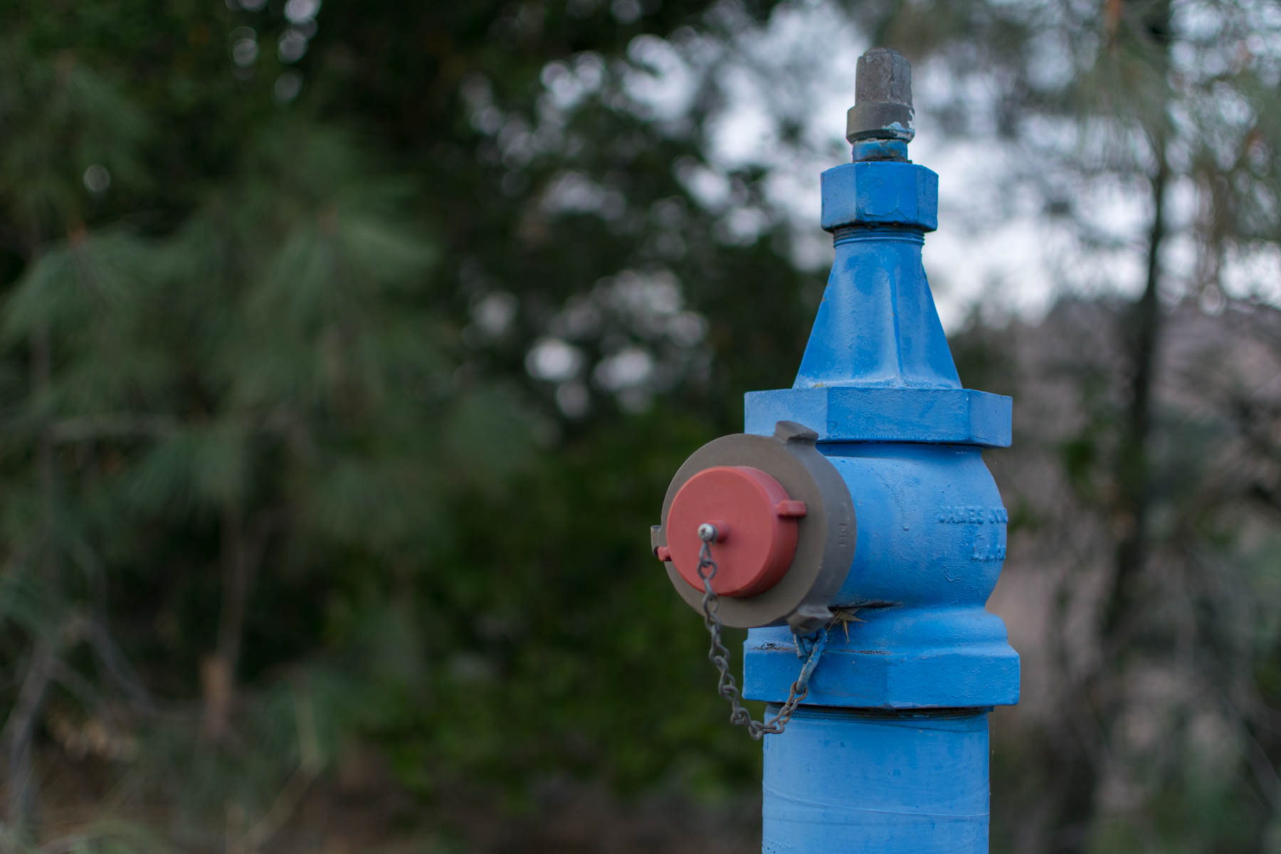 Fire Plug Valves Niral s Photoblog